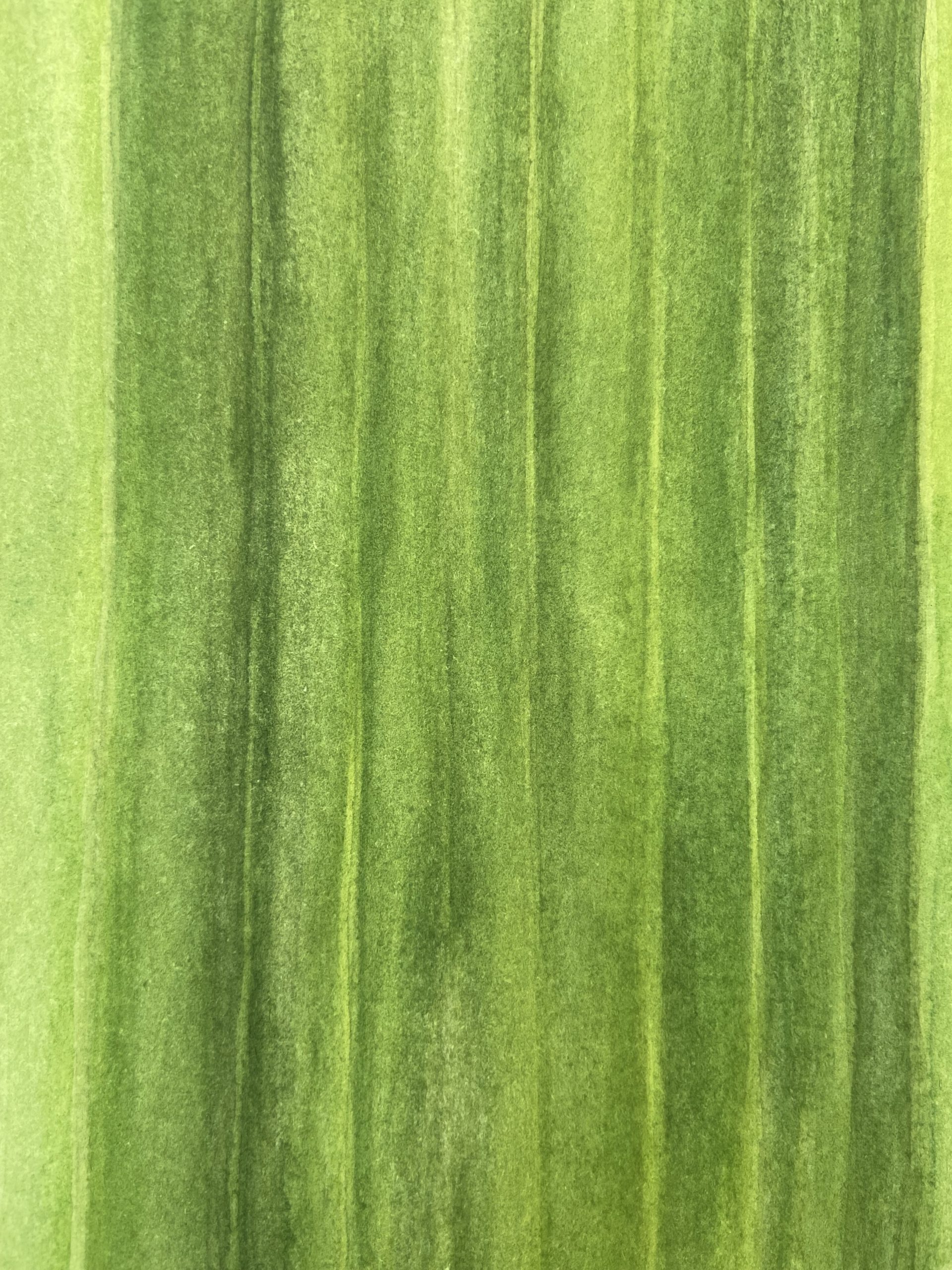 Threads of Chlorophyll